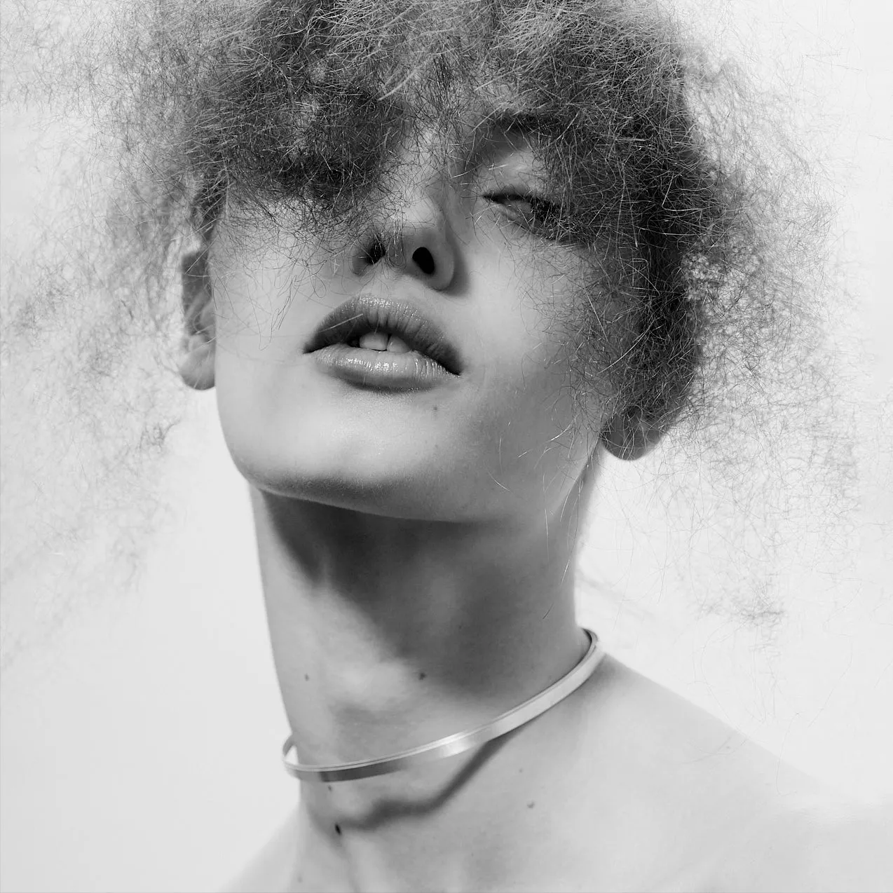 BETA¹ necklace / choker