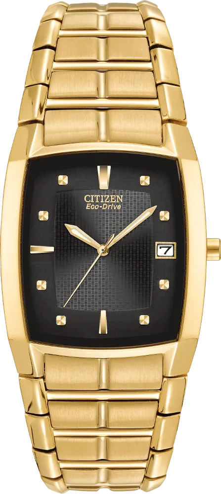 Citizen Eco Drive Paradigm Men's Watch BM6552-52E