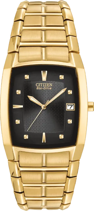 Citizen Eco Drive Paradigm Men's Watch BM6552-52E
