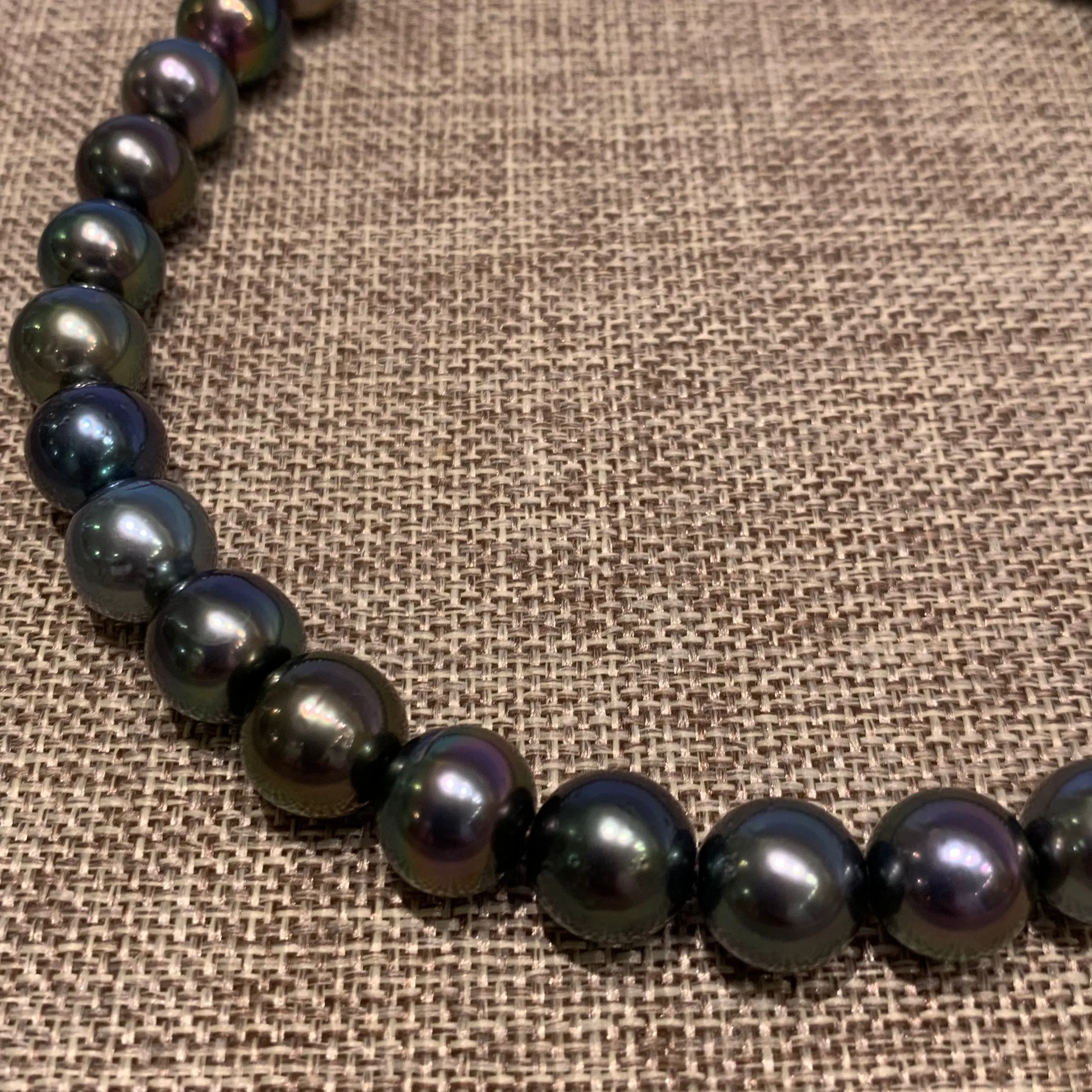 Classic Style w/ Tahitian Pearls Choker | 15”