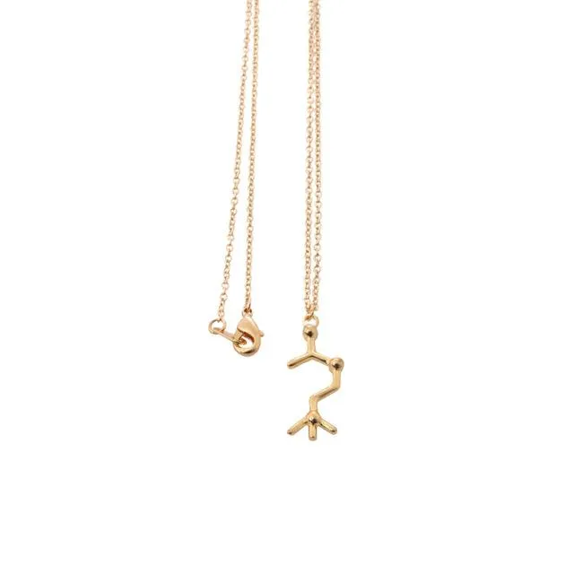 Molecule Chemical Structure Necklace