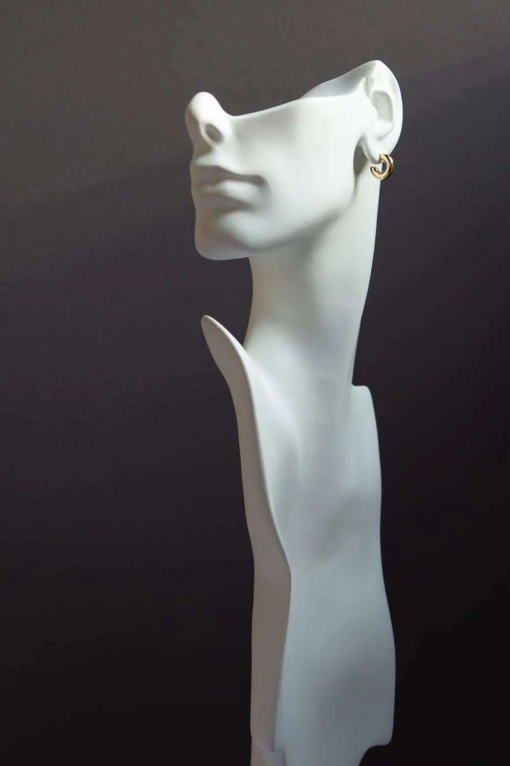 Small Gold Chubby Hoops